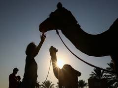 
      
      Pakistan: Feudal landlord cripples young camel for drinking water
      
      