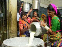 
      
      Women’s empowerment in animal husbandry: Lakhs of women drive Guj
      
      