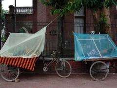 
      
      Bangladesh reports surge in dengue cases, records nine deaths in 
      
      