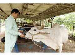 
      
      Dairy giant Banas commits to Climate Action: Collaborates 
      
      
