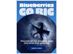 
      
      New Study Suggests Substituting Common Fruits with Berries
      
      