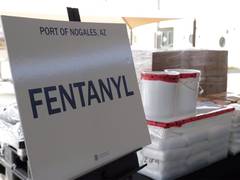 
      
      US sanctions two Indians, pharmacy over fentanyl pills
      
      