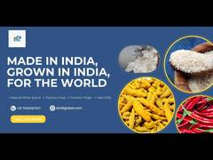 
      
      DS28 Global LLP: From the Fields of India to the Markets 
      
      