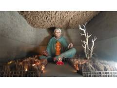 
      
      Durga Puja 2025: Kolkata's 24-Foot Thimmakka idol draws crowd
      
      