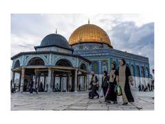 
      
      68,000 Jews visited Temple Mount in last year, highest on record
      
      