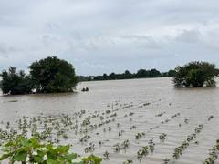 
      
      Schools closed for two days amid orange alert for heavy rain
      
      