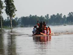 
      
      Punjab Water Resources Minister slams Congress over relief fund
      
      