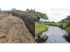 
      
      Rivers Rise Again: The Art of Living's Journey of Rejuvenation
      
      