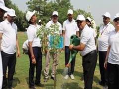 
      
      Ministry of Coal launches 'Ek Ped Maa Ke Naam' plantation drive
      
      