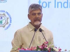 
      
      Andhra CM Chandrababu Naidu condoles loss of lives in Karur stampede
      
      