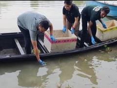 
      
      Assam: 104 hatchlings of 3 turtle species released at Hadug Be
      
      