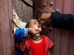 
      
      Sindh CM suspends officials after new polio cases detected
      
      