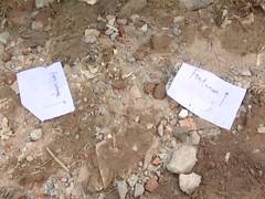 
      
      Delhi: 2 miscreants linked to gangster Goldy Brar arrested 
      
      