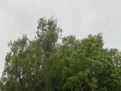 
      
      West Bengal's Birbhum receives early morning rain
      
      