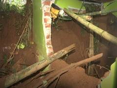
      
      West Bengal: Darjeeling landslide destroys house, family of 3 die
      
      