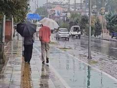 
      
      J-K: Parts of Srinagar get heavy rain
      
      