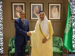 
      
      India-Saudi Arabia discuss investment integration, growth 
      
      