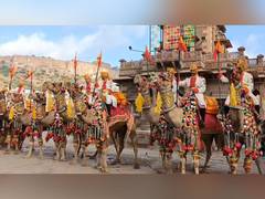 
      
      Jodhpur hosts Marwar Festival 2025
      
      