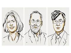 
      
      US and Japanese scientists awarded 2025 Nobel Prize
      
      