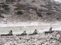 
      
      Rudra Brigade showcases superior high-altitude operational skills
      
      