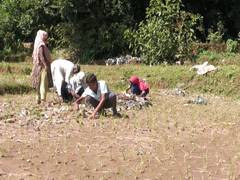 
      
      J-K: Udhampur farmers urge JKPDC for effective waste management
      
      