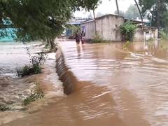 
      
      Tamil Nadu: Heavy rain triggers lake overflow in Vellore district
      
      