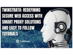 
      
      Twinstrata: Redefining Secure Web Access with Smart Proxy
      
      
