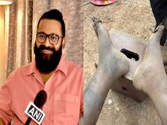 
      
      Risabh Shetty shot ‘Kantara: Chapter 1’ climax with swollen leg
      
      