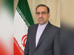 
      
      'Iran, India are natural partners,' Iranian Envoy says in farewel
      
      