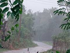 
      
      Tamil Nadu: Heavy Rain lashes several parts of the Nagapattinam
      
      