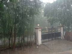
      
      Public barred access to Coimbatore's 'Courtallam' waterfall due t
      
      