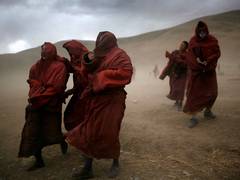 
      
      China accused of torturing Tibetan monk
      
      