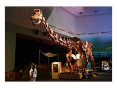 
      
      Singapore's Ultimate Prehistoric Adventure Begins 
      
      