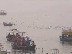 
      
      Siberian birds arrive at Prayagraj Sangam, delighting locals
      
      