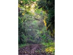 
      
      India moves up to position nine globally in forest area
      
      