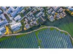 
      
      India’s supportive policies, funding drive rapid green transition
      
      