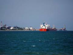 
      
      Trump administration mulls plans to target cocaine facilities...
      
      