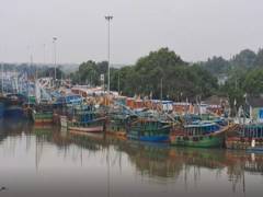 
      
      Boats stay anchored in Cuddalore Dock ahead of Cyclone Motha
      
      