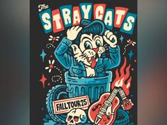 
      
      'Stray Cats' US fall tour cancelled
      
      