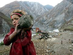 
      
      OIC rakes up Kashmir, stays mum on protests in PoK
      
      