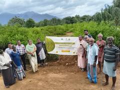 
      
      GI-tagged limes from India enters UK market
      
      