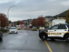 
      
      Indian-origin businessman killed in Canada's Abbotsford
      
      