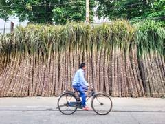 
      
      ISMA warns of payment delays to farmers as ethanol cuts & frozen 
      
      