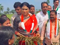 
      
      Sharmila Reddy demands 