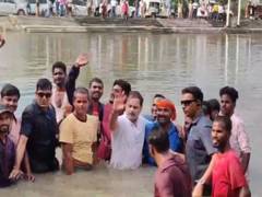 
      
      Bihar polls: Rahul Gandhi goes fishing in Begusarai pond
      
      