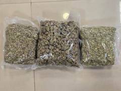 
      
      DRI Mumbai seizes drugs in food packets- Hydroponic weed seized
      
      