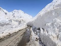
      
      At least seven dead including five foreign climbers in Nepal aval
      
      