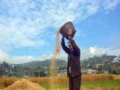 
      
      APEDA facilitates export of fortified rice kernel from Chhattisga
      
      