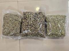
      
      DRI nabs duo with ₹42 crore hydroponic weed
      
      