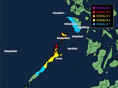 
      
      66 dead as typhoon Kalmaegi rages through Philippines
      
      